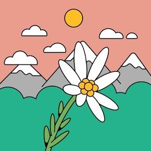 Meet your Posher, Stella